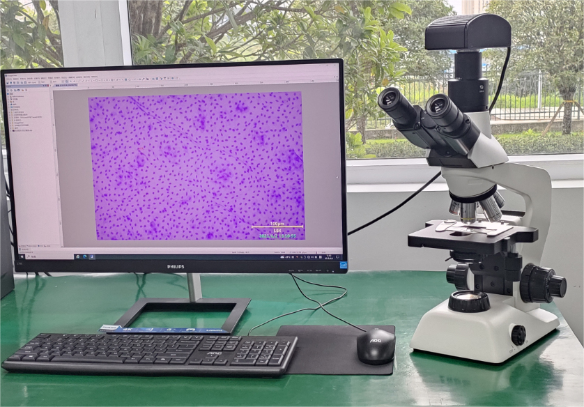 炭黑分散度测试仪NETH202