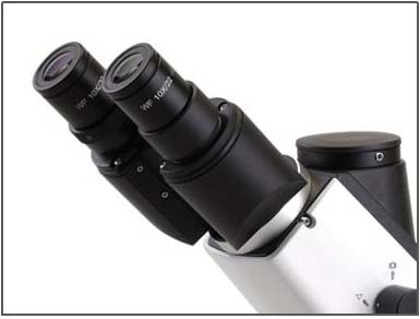 倒置金相显微镜NELM2000