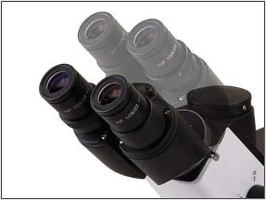 倒置金相显微镜NELM2000