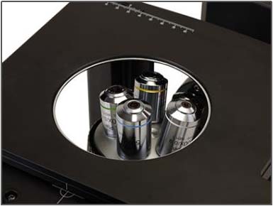 倒置金相显微镜NELM2000